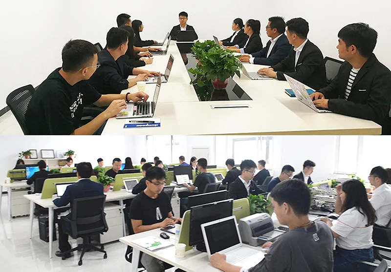 lithium ion iron phosphate battery 