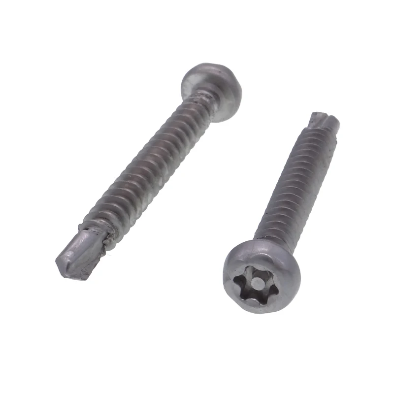 Ss Screw Stainless Steel Pin Head Torx Self Drilling Screws Buy Pin Head Torx Screw,Torx Self
