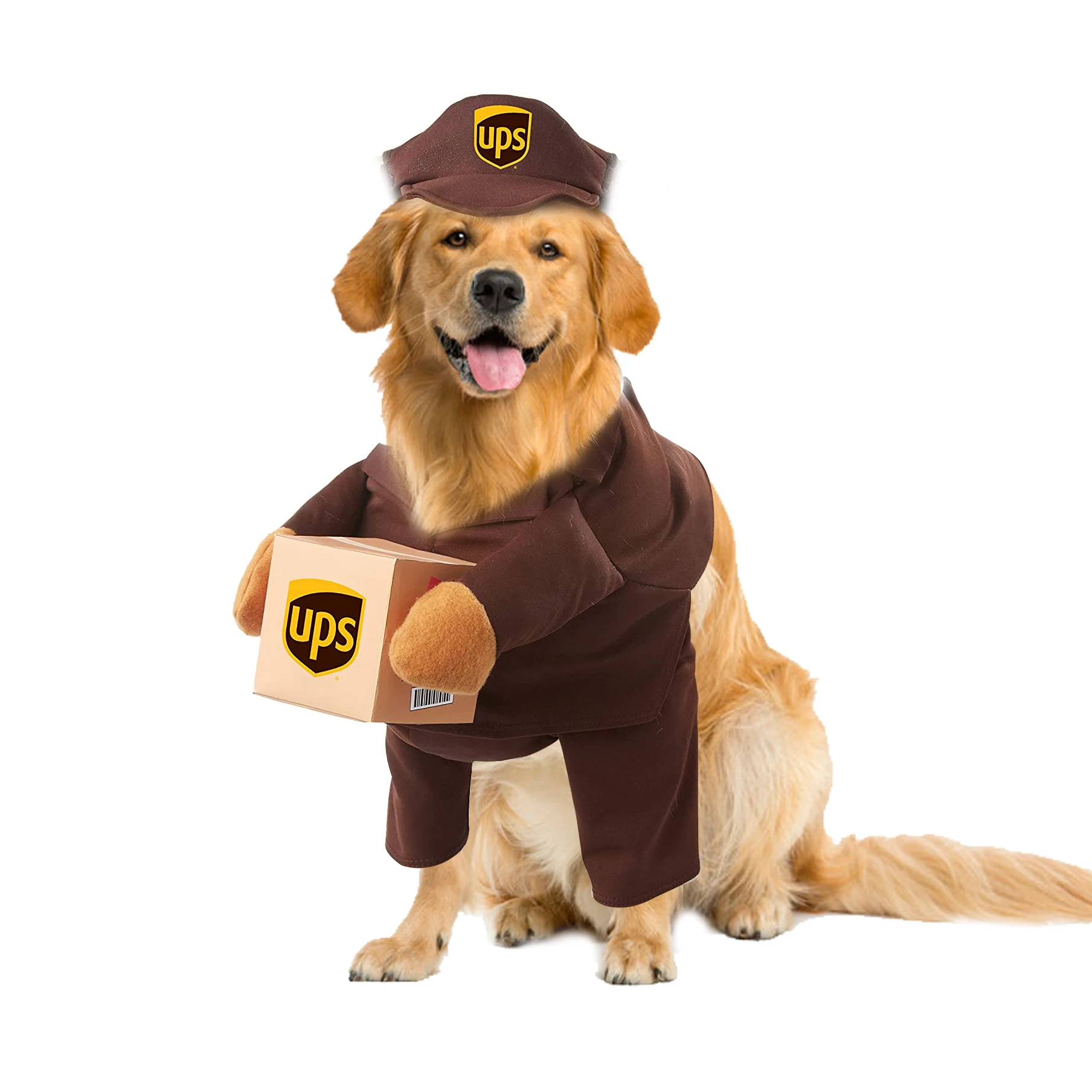 

China manufacturer wholesale pets funny long sleeve dogs costume for halloween