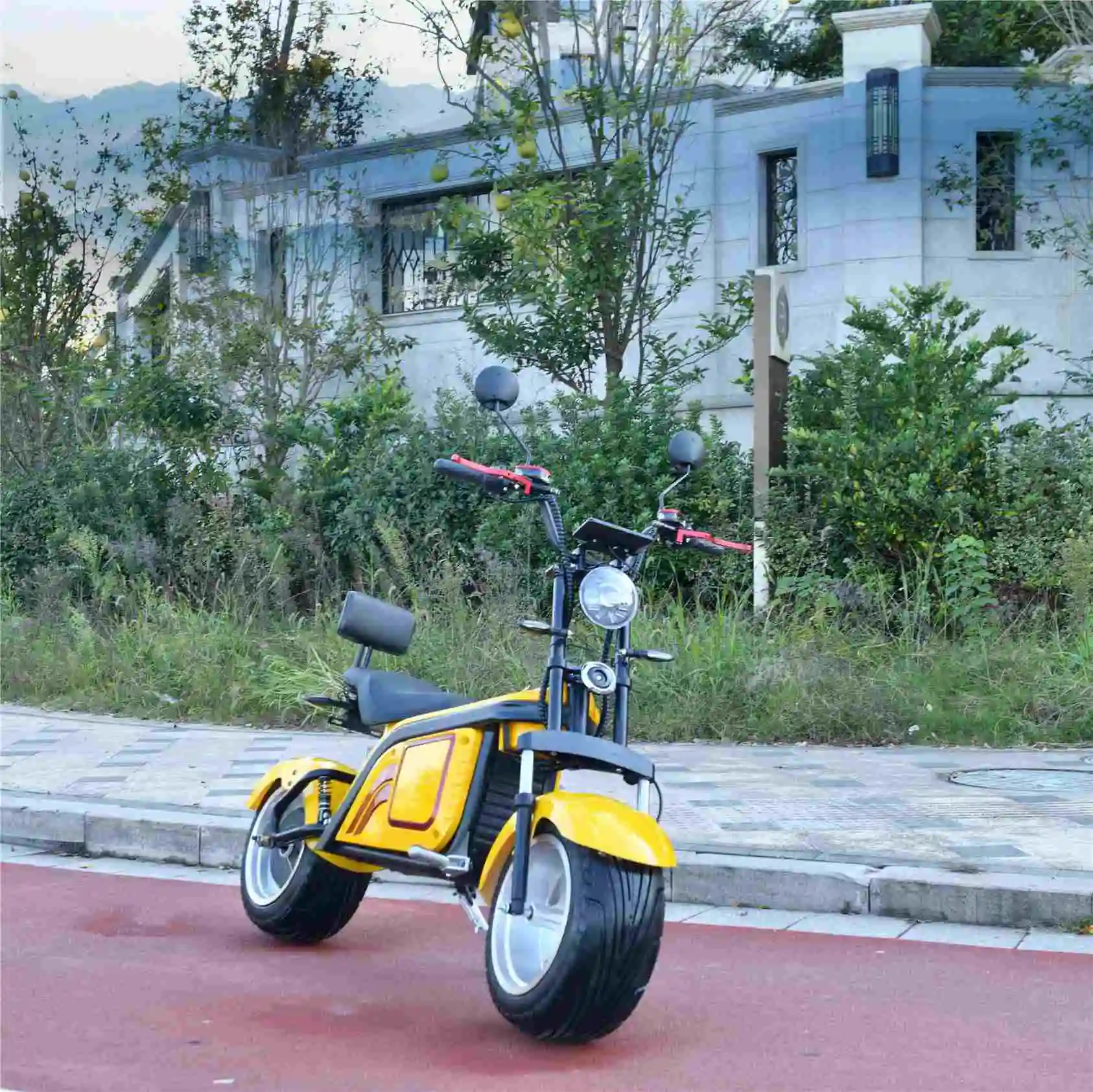 

European Warehouse Factory 2 Wheel Citycoco 2000W 60V 12AH Electric Scooter Powerful YIDE Motor Electric