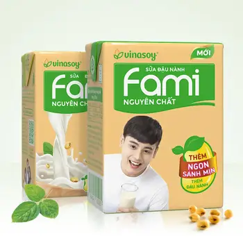 nan soy milk
