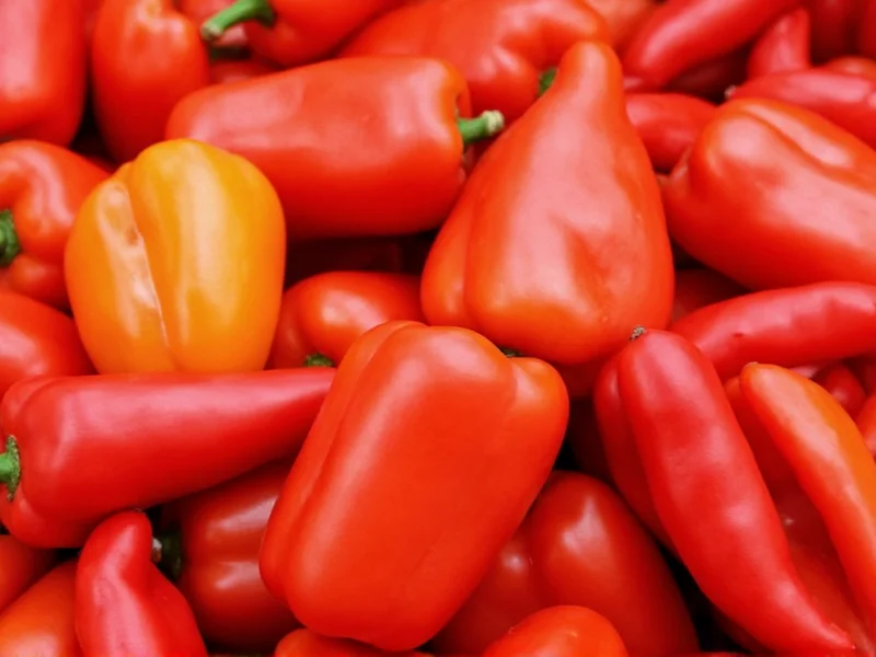 Calories in 1 Bell Pepper: Complete Nutritional Guide
