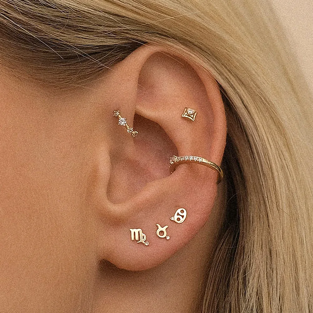 

925 Sterling Silver 12 Zodiac Zirconia Stud Earrings CZ silver jewelry