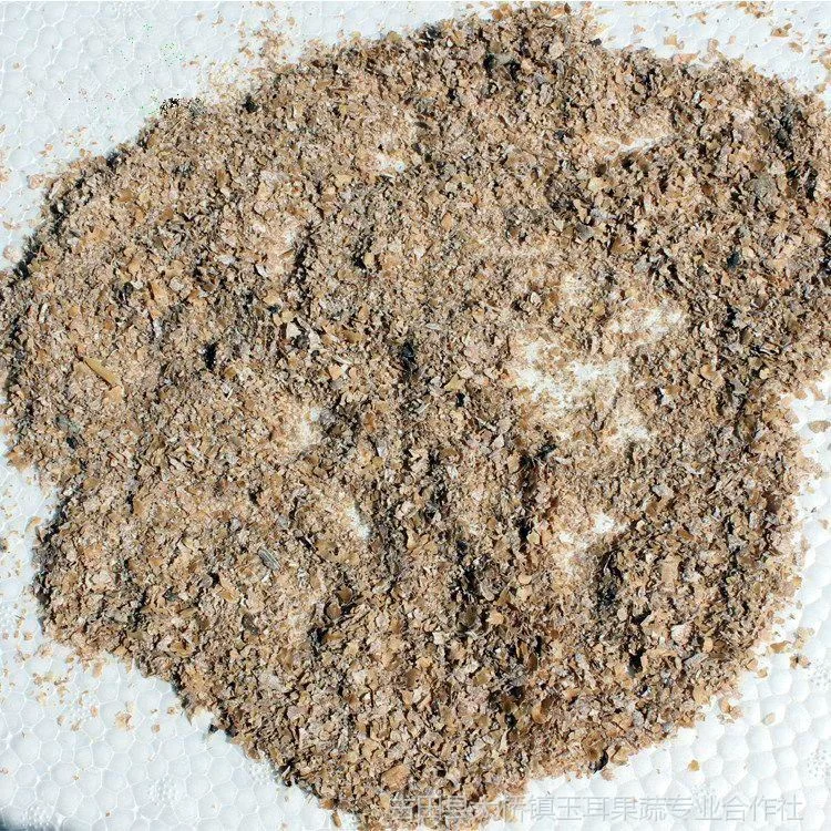 
Wholesale Fresh Grey Oyster Mushroom Spawn 