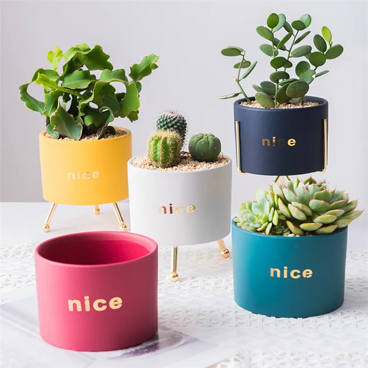 

Hot sale succulent planter pot small ceramic plant flower pots for indoor plants, As pictures