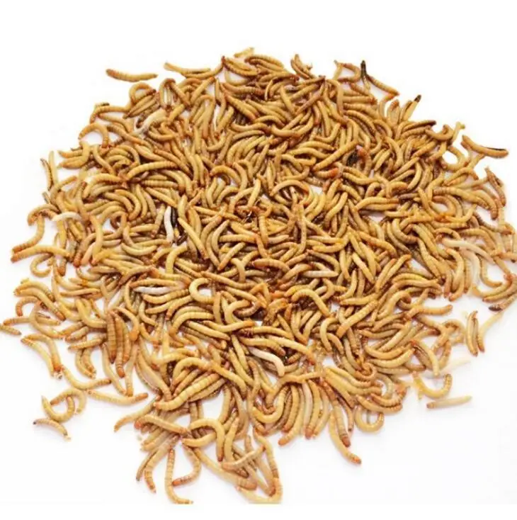 
CatWell dried mealworms for small pert hamster food 