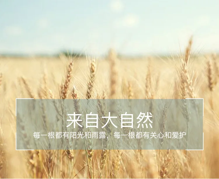 Disposable Drinking Grass Straws Native Wheat Grass Straw Buy Native