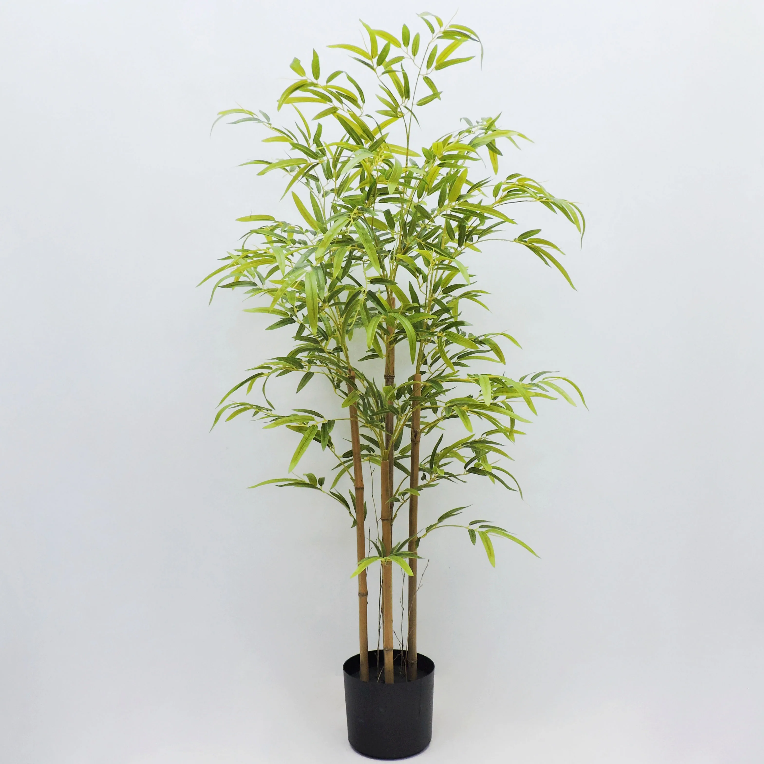 Bamboo tree P240005-120 $8.99 MOQ 50