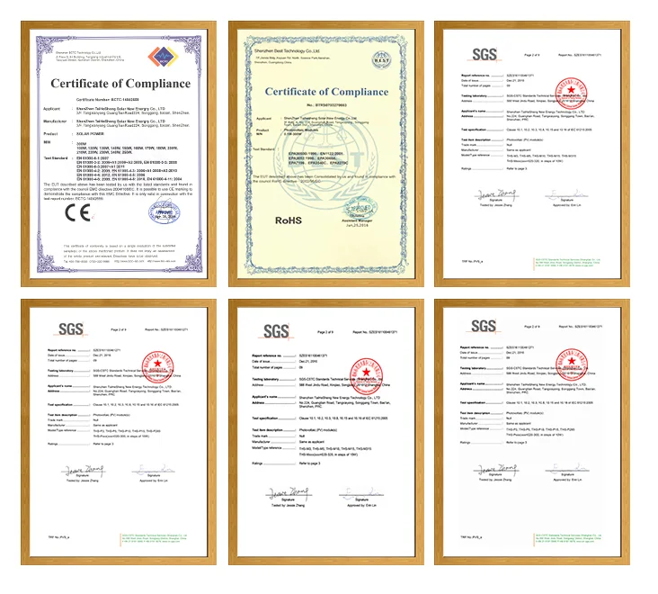 paste-pic-dp_uuid_fmlk6