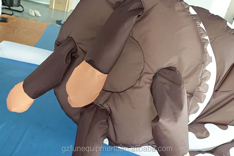 inflatable balloon.jpg
