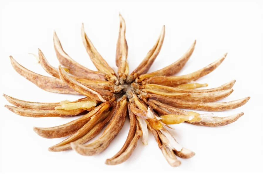 Anise Pronunciation: Correct Way to Say AN-iss (Not An-eez)