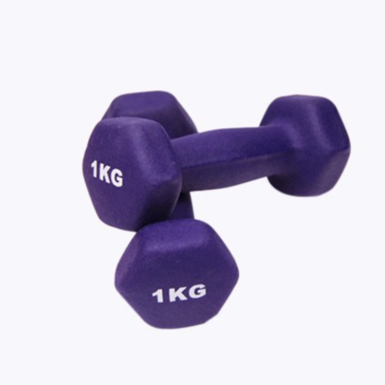 

Hot sale nice price Modern colorful eco-friendly high quality dumbbell for women fitness exercise