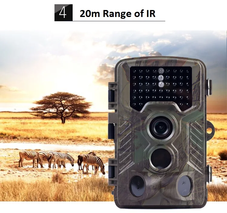 detailed 4.jpg