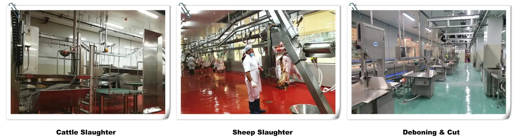 halal_cow_butcher_slaughter_line_meat_processing_abattoir_equipment