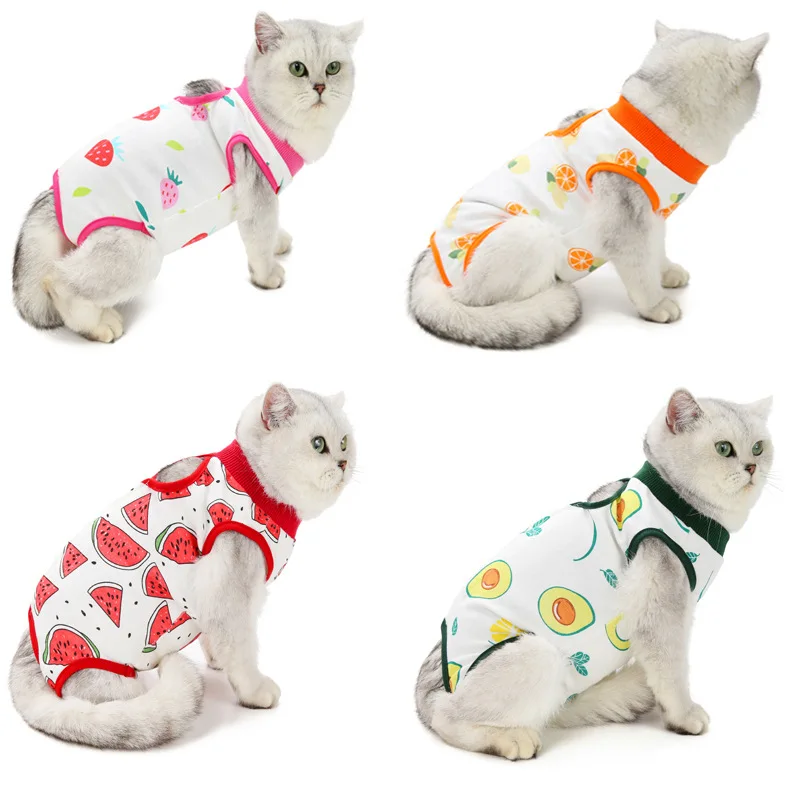 

Cat Suit Surgery Anti Licking Wounds After Surgery Wear Summer Cat Clothes Cat Recovery Suit, Multicolor