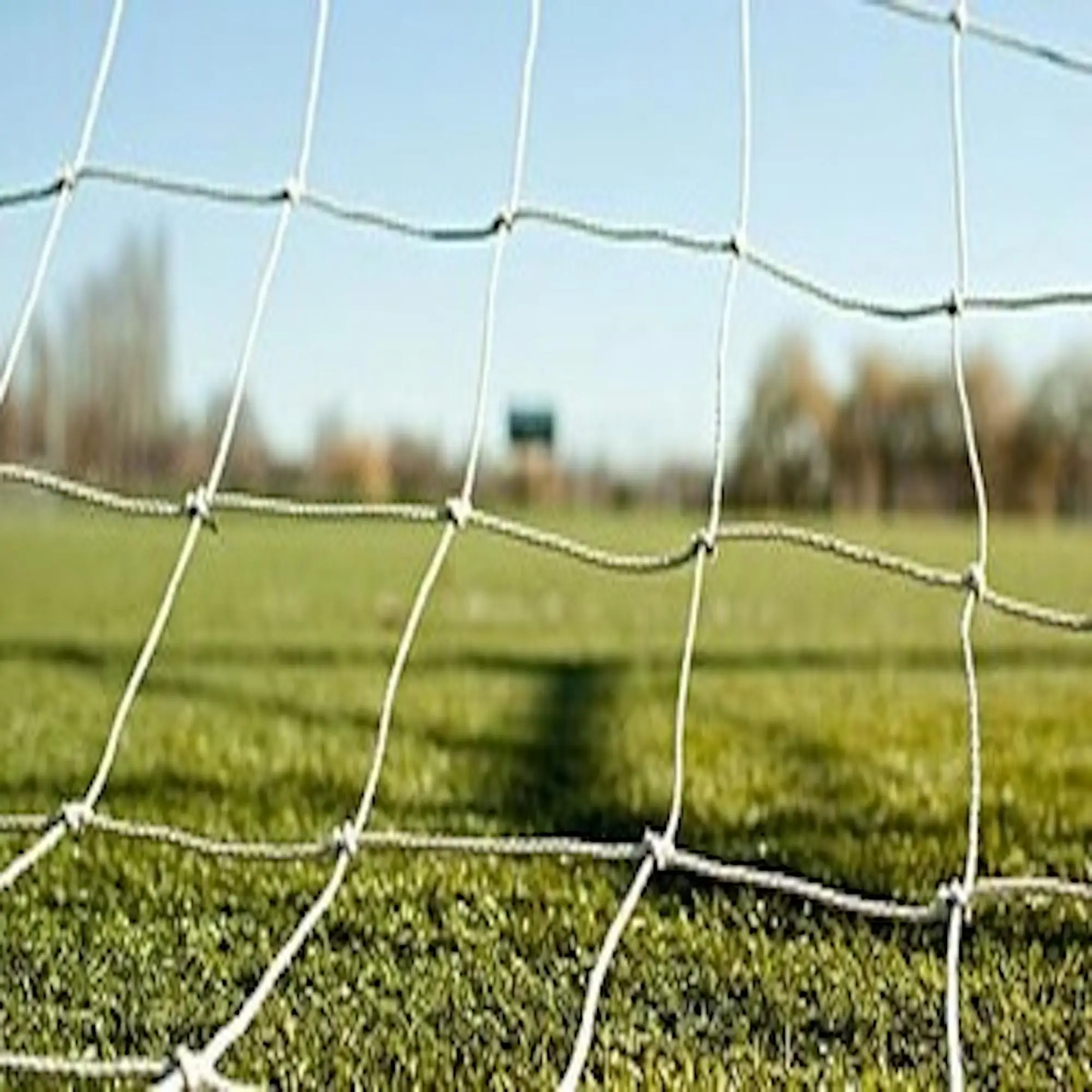 Орошаемые поля в саудовской аравии. Сетка заградительная для футбольного поля высота. Сетка для футбольного поля. Field net. Net field.