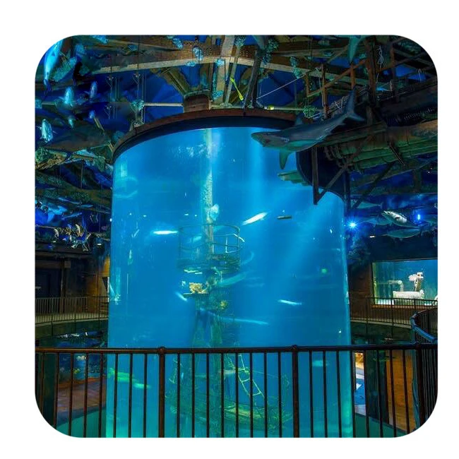 

SD Large Acrylic Sheet Customized Cylinder Acrylic Aquarium large acrylic tube aquarium, Clear/transparent