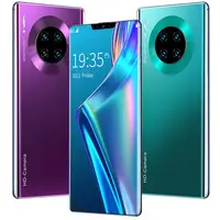 

Global Version Unlocked 10 core mobile phone 6.53 inch Mate31 Pro 2K Display 1GB+16GB Android10.0 OS Smartphone