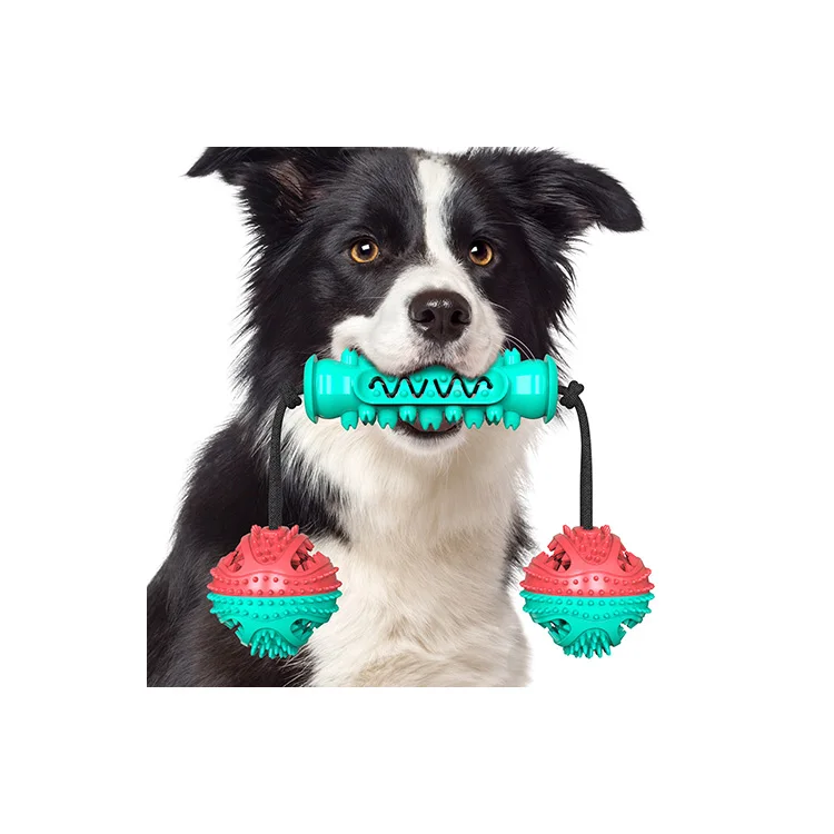 

Pet serrated molar toy set Chew Toy With two Balls for chewing interactive natural rubber dog toy, Green,blue,red