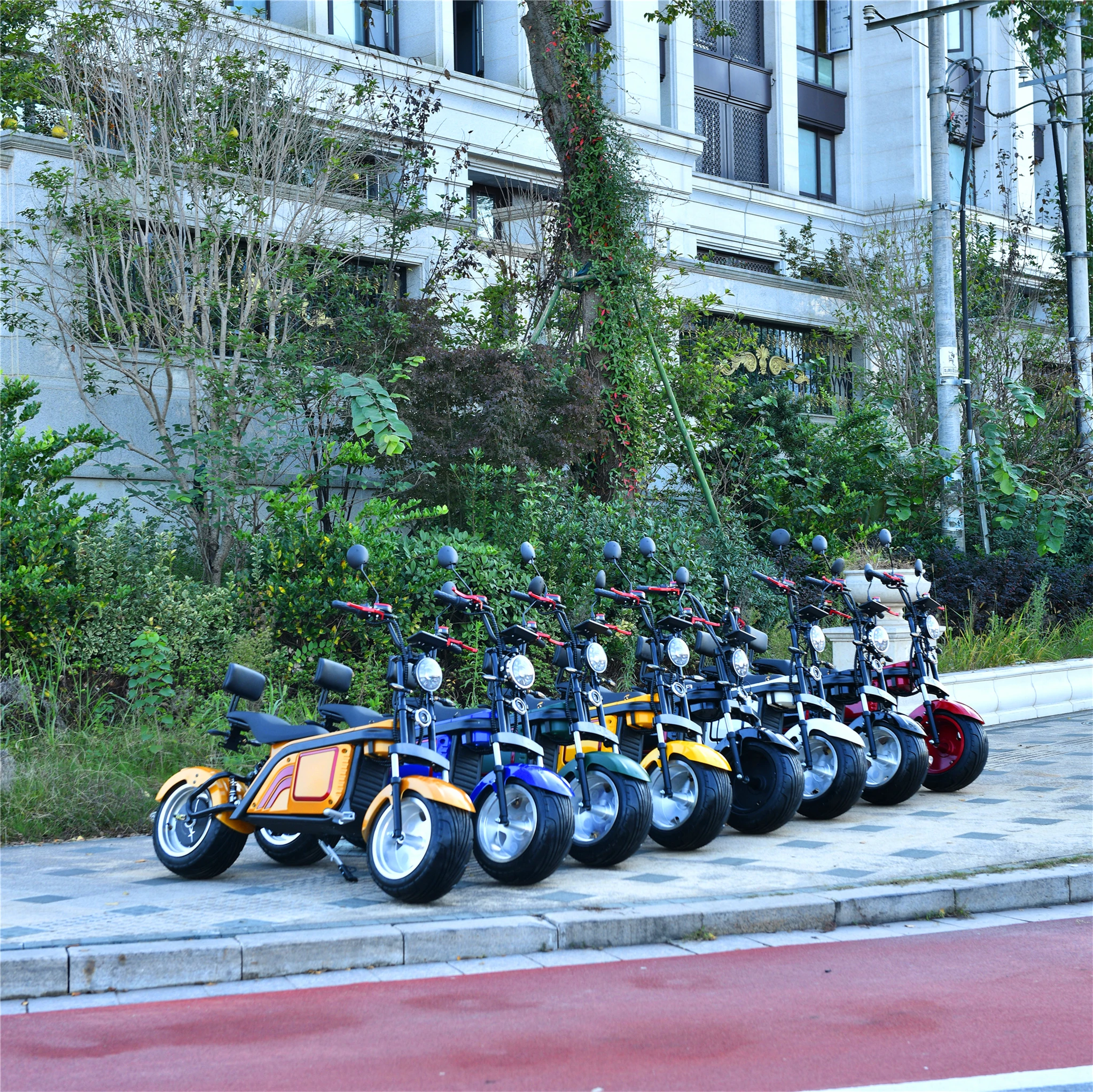 

High Standard In Quality Citycoco Best Seller 12Inch Electric Scooter