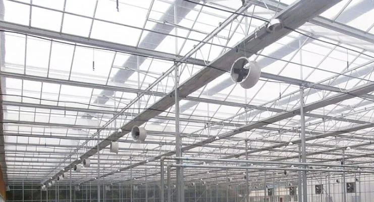 High Performance Venlo Polycarbonate Greenhouse with Complete Systems