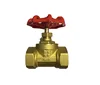 /product-detail/wholesale-1-2-6-inch-short-delivery-date-forged-brass-water-gate-valve-dr-3-4-inch-non-rising-female-x-female-brass-material-g-60751092755.html