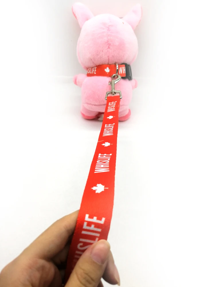 Personalized Adjustable Custom Dog Collar Logo,Pet Collars & Leashes