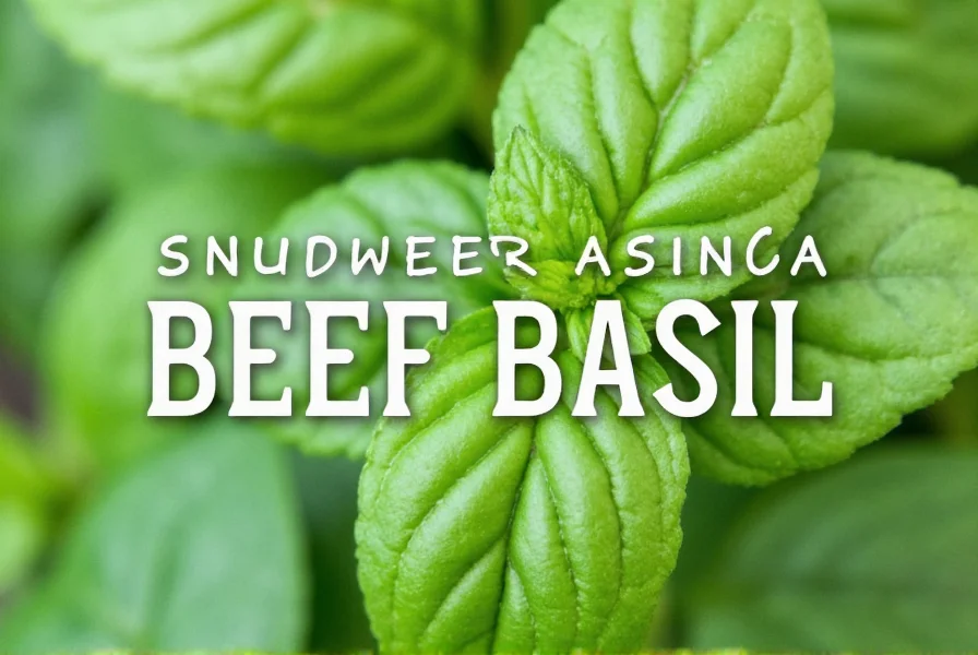 Beef Basil in Cooking