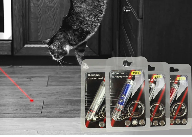 Details about   2 In1 Mini Red Pointer Pen Keychain Flashlight Child Pet Cat Toy Fast Shipping 
