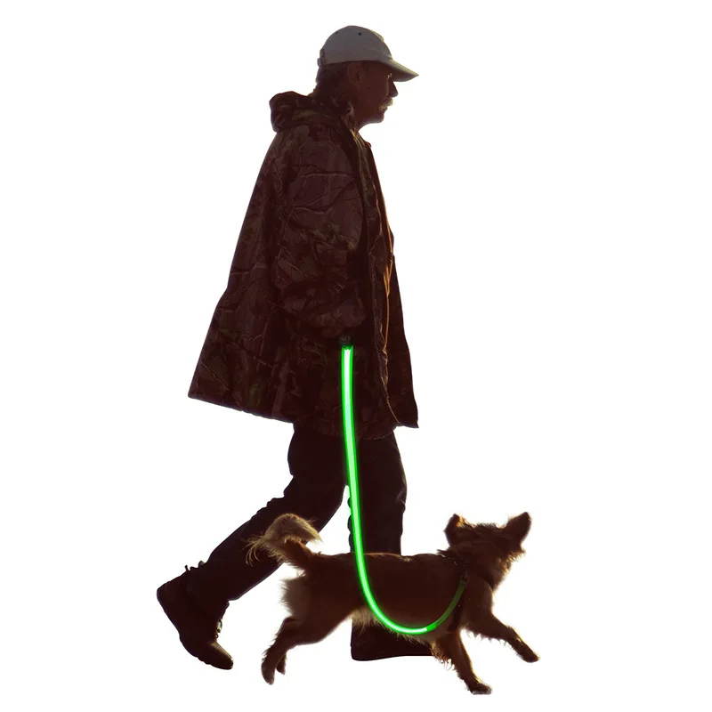

LED light pet collar USB charging night warning anti-loss dog collar, Blue