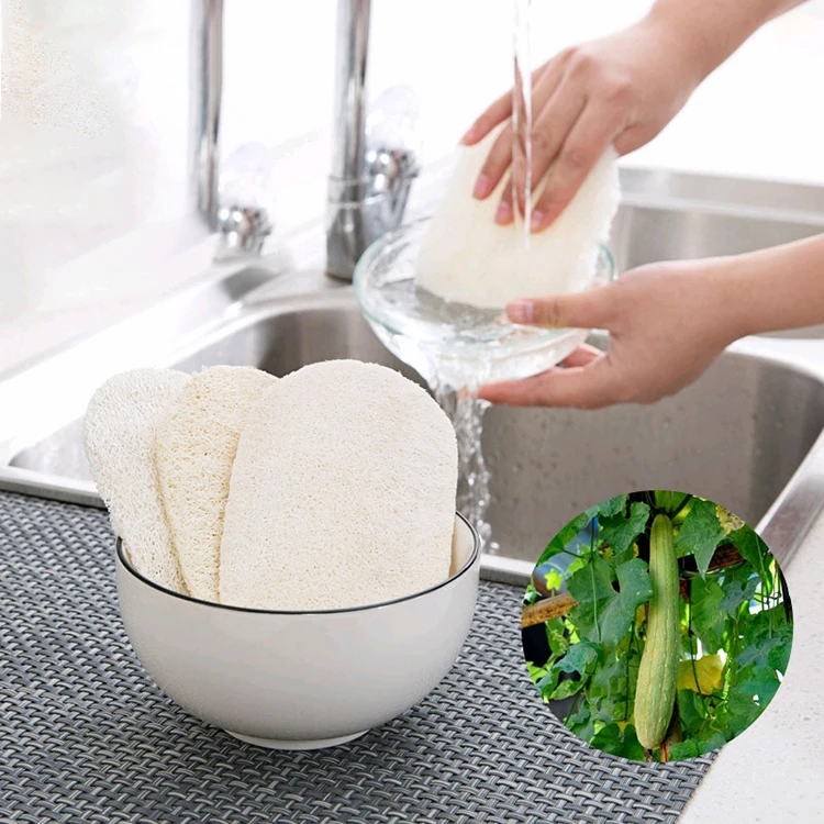 

Natural Loofah sponge kitchen loofah dish exfoliating high cleansing, White/natural