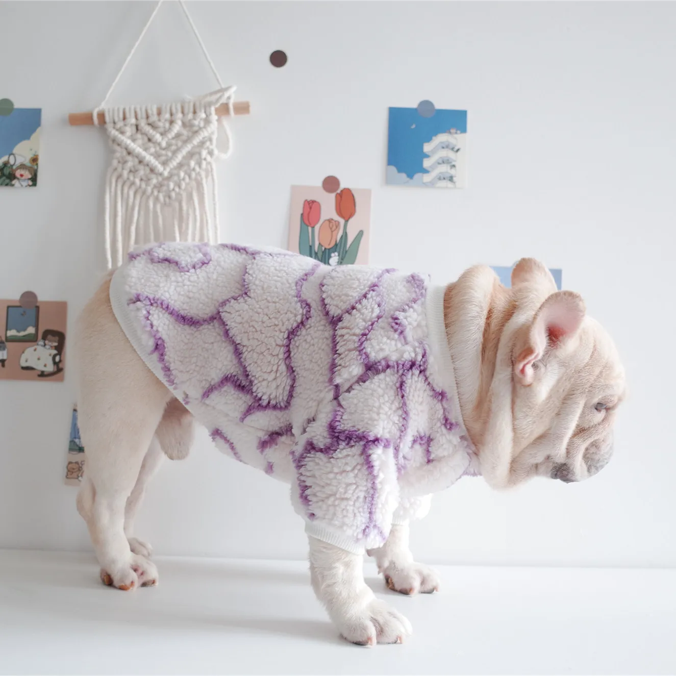

Fashion Autumn And Winter New Designer Dog Clothes Warm Fleece Velvet Pet Clothing, As shown in details