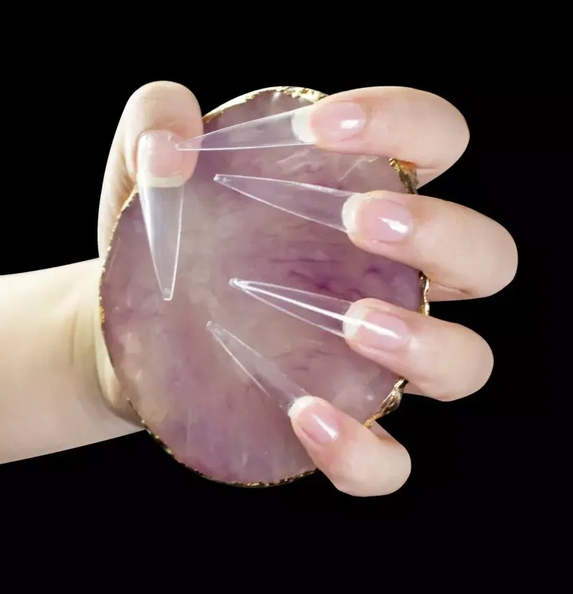 

Christmas Festival 500 pcs Long Thin Clear Stiletto Nail Tips for Nail Art