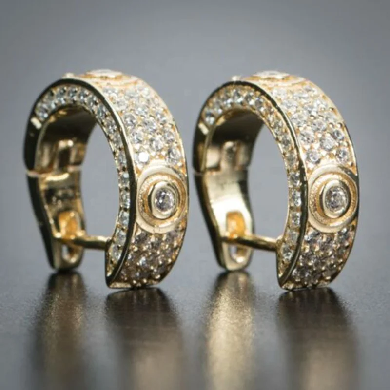 

Hip Hop Hoop Earrings for Women Men Teens Newly Design Brilliant Cubic Zircon Luxury Accessories Trendy Jewelry, Picture shows