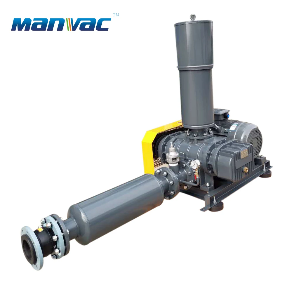 Roots Blower, 5hp, 10hp/20hp - detail 2