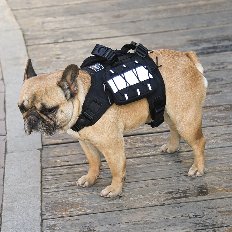 

2021 NEW Fashion Pet knapsack dog outdoor self backpack With reflective stripe pet saddle bag