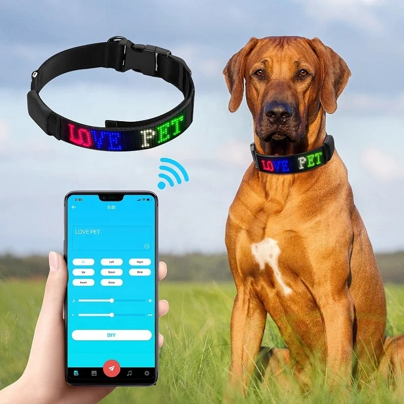 

Collar Dog Led Safety Accesorios LED Nylon USB Rechargeable Flashing Pet Supplies Led Dog Collar with APP Control Programmable