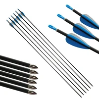 

Alibaba Amazon Hot Seller 2019 Plastic Vane Nock Steel Point 500 600 700 800 Spine Carbon Hunt Arrow