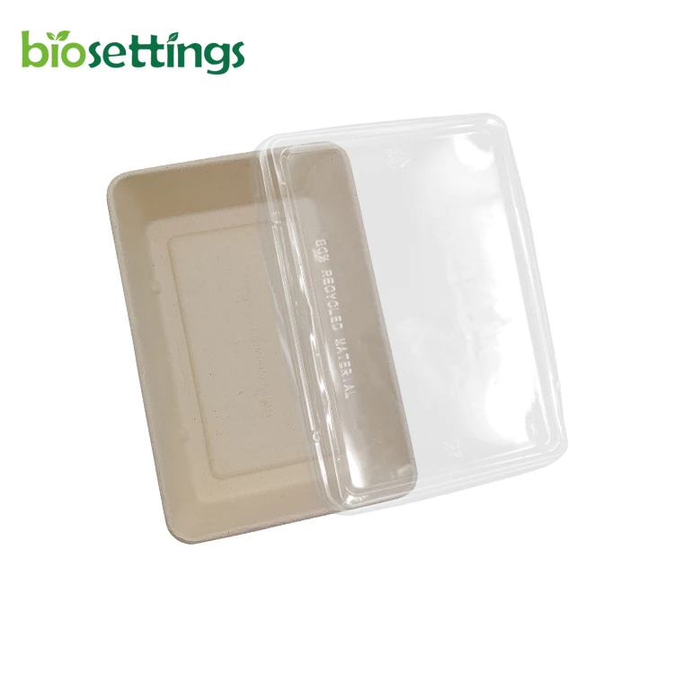 

PFAS FREE Disposable compostable bagasse cardboard container tray to put sushi echo friendly pet LID sushi tray