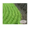 Factory manufacture price various biodegradable gel super absorbent polymer