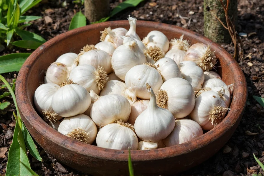 Growing Garlic from Cloves: Complete Step-by-Step Guide