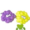 High quality grape shape Squeaky Pet Toys dog training chew toy