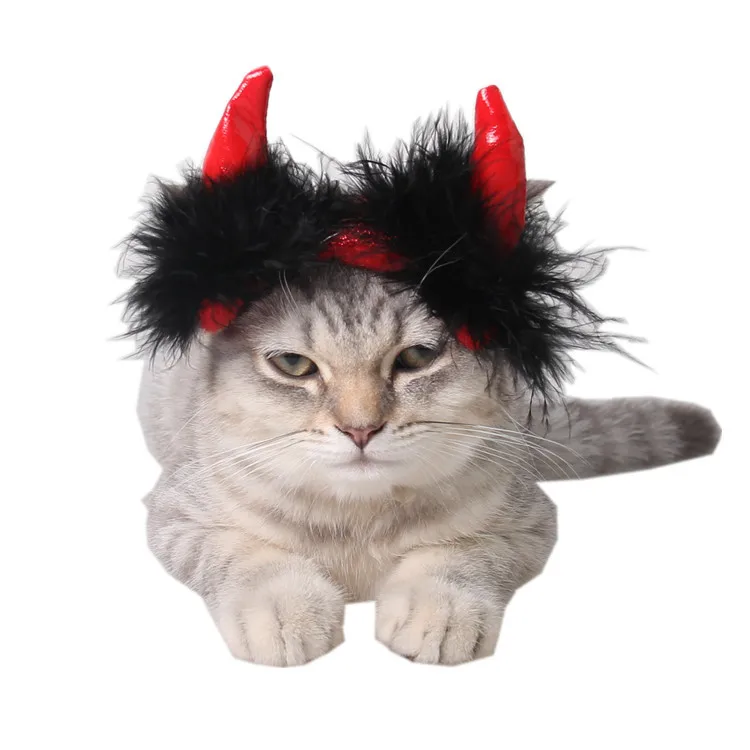 Ornamen Orang Malam Halloween Topi Anjing Pesta Kucing Peliharaan Tanduk Merah Imp Vampir Buy Halloween Hewan Peliharaan Kucing Pesta Topi Anjing Halloween Tuhan Imp Bertanduk Vampir Merah Kucing Ornamen Product On Alibaba Com