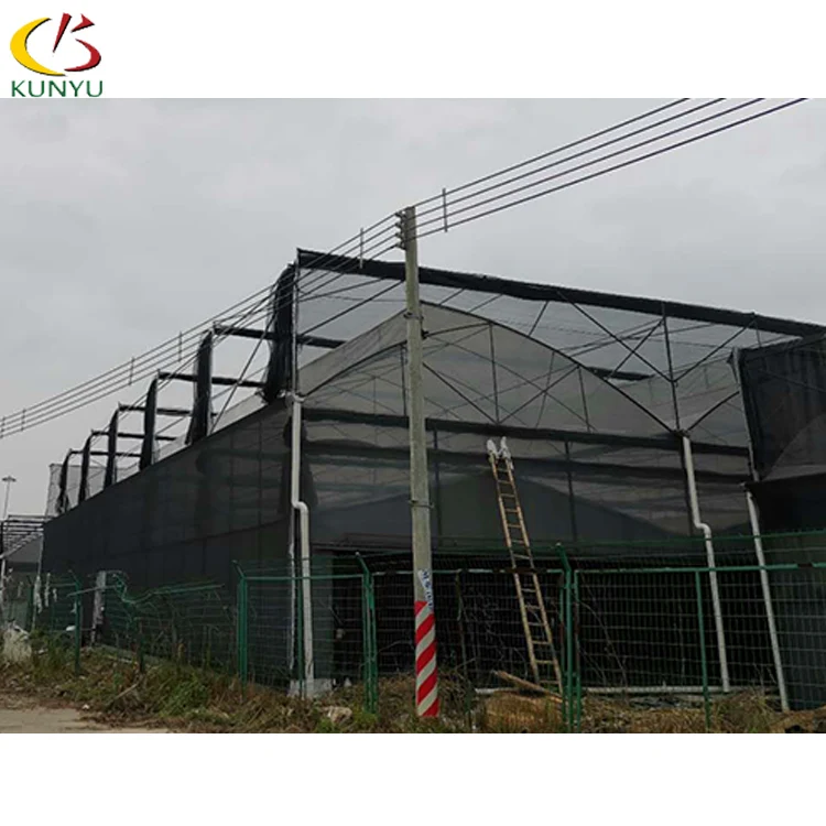 Venta al por mayor semillas invernaderos-Compre online los mejores