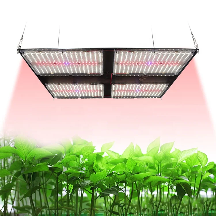 

Meijiu Novedades 2021 Grow Tent Lm301H Strip Grow Lights Energy System, Pre-assemble Grow Light Board 288 480W LED Lamp