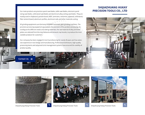 company information2