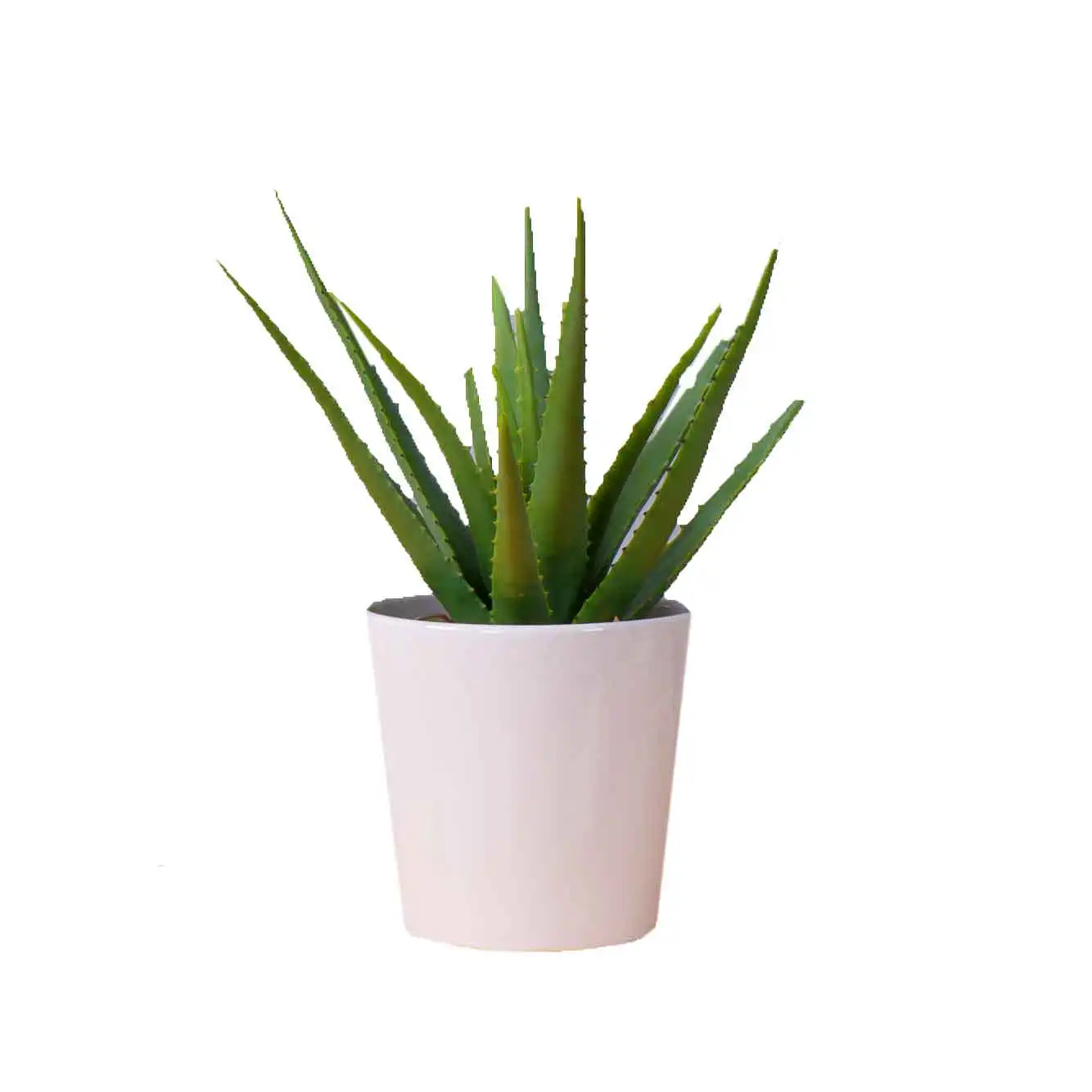 

Amazon's best selling and cheap taocang white bowl shaped small suit ceramic fleshy flowerpot planter manufacturer