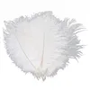 10pcs Exquisite Decorative Ostrich Feather 20-25cm White