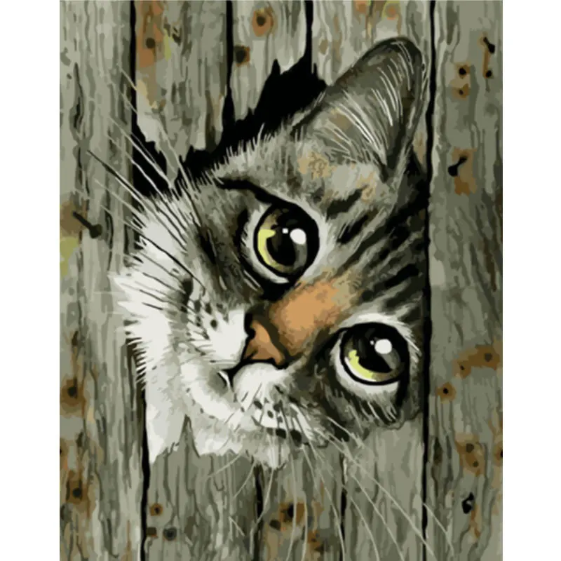 

Painting By Number Cat Drawing On Canvas Ready Frame Paint Animal Hand Painted Paintings Kits For Kids Adults