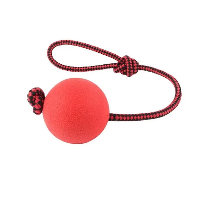 

Non-toxic Rubber Ball Dog Teeth Bite Chew Play Toys 2019 Pet Balls Tug Toy w/Rope Handle Solid Odorless Puppy Dog Rubber Toy